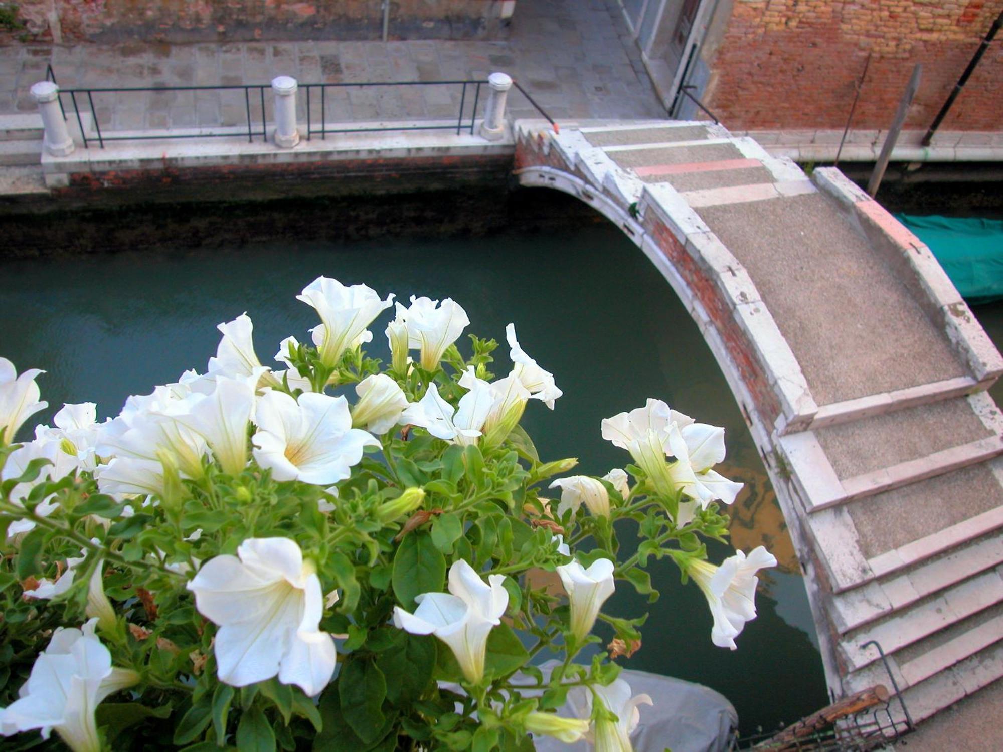 3749 Pontechiodo Bed and Breakfast Venetië Kamer foto